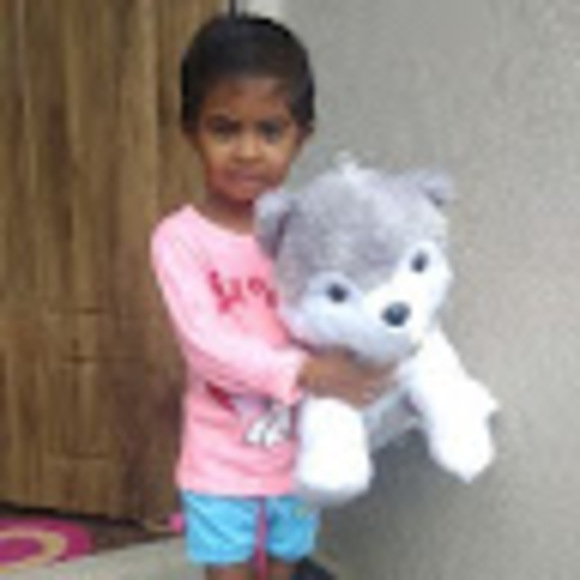 lakshmirajalux